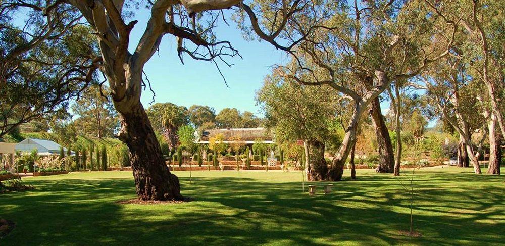 Jacobs Creek Retreat - Barossa Valley Country house