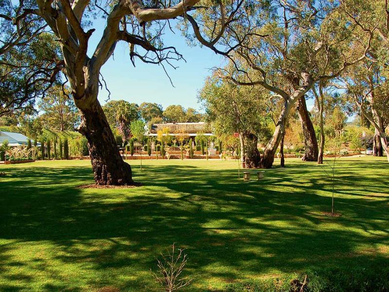 Jacobs Creek Retreat - Barossa Valley * Tanunda